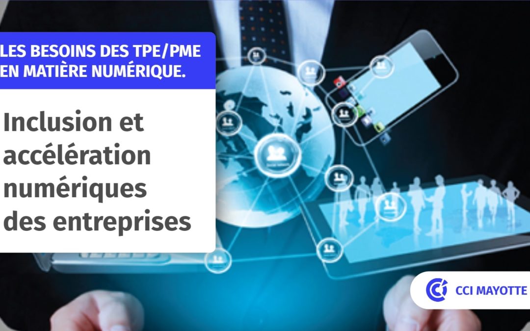 Questionnaire sur l’usage du numérique des entreprises